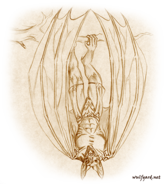 File:Vampire beastman.png