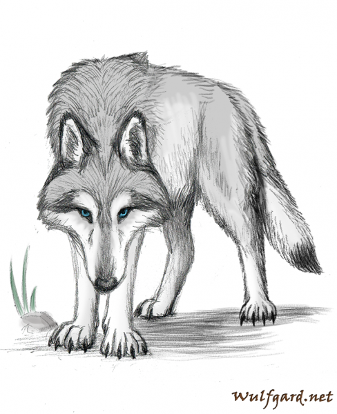 File:Portrait moonlight.png