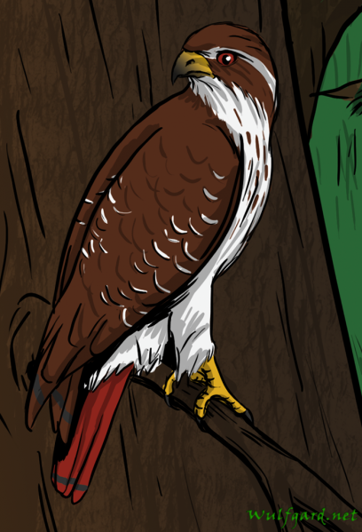 File:Portrait deirdre.png