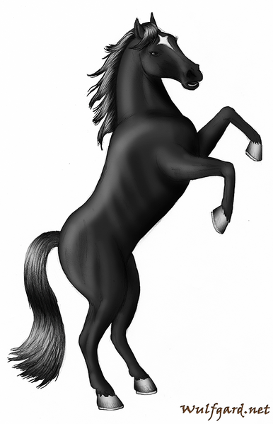 File:Portrait ghost.png